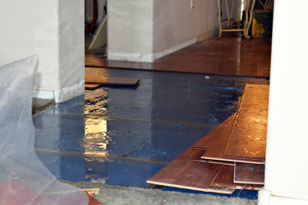 Professional Burst Pipe Cleanup technician working in Coolidge, TX